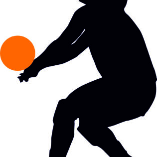 Volley Ball Player Silhouette alternate image