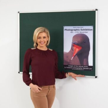 aluminium-framed-noticeboard-with-fire-retardant-cloth-2018-p