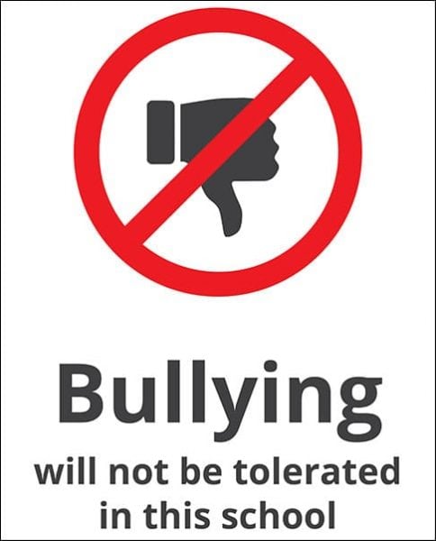 essay on bullying should not be tolerated in school