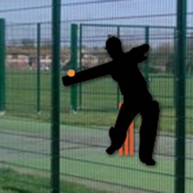 Cricketer Silhouette
