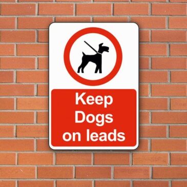 keep-dogs-on-leads-2480-p
