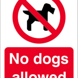 No Dogs Allowed Sign alternate image